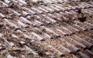 Maudlin roof cleaning companies