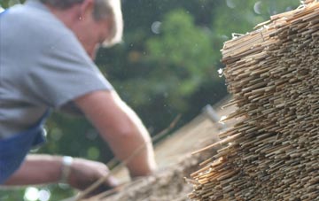 professional Maudlin thatchers